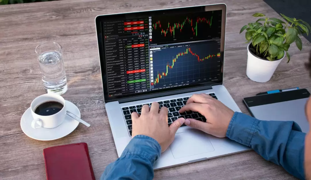Plano de Saúde Empresarial PME Blue Med SP OD São Paulo